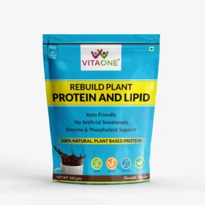 Vitaone Rebuild Plant Protein and Lipid, Chocolate, 500gm